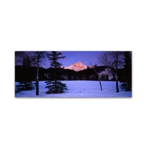 David Evans 'Pyramid Mountain-Canada' Canvas Art, 8x24, Trademark Fine Art, Mfr#: DE0072-C824GG